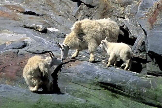 Misty Fjords Expedition - 6 Passenger Boat - Rudyerd Bay and the first great views