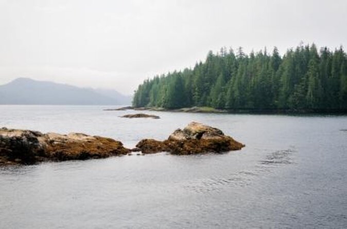 Misty Fjords National Monument Floatplane Tour - Key points before you book