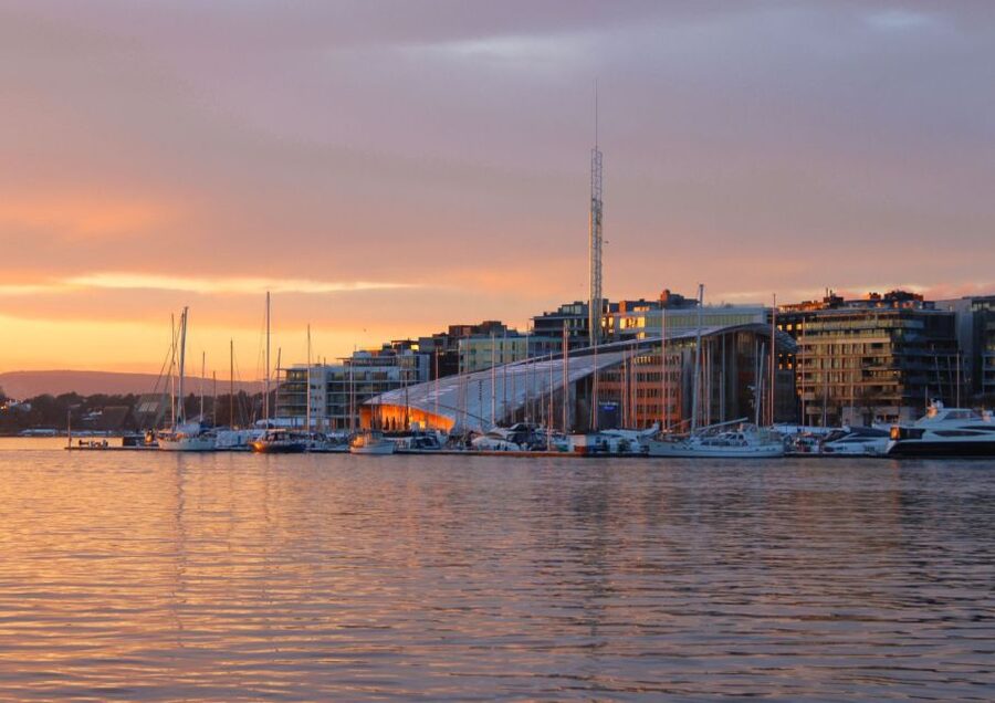 Oslo: 100% Electric Oslofjord Sightseeing Cruise - Bygdøy: the optional museum stop
