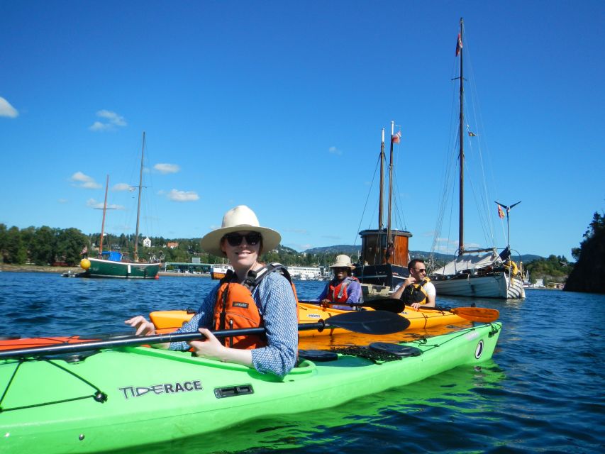 Oslo: 3-hour Kayaking Trip on the Oslofjord - Small islands, beaches, and changing water conditions