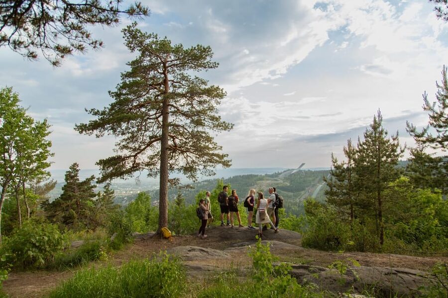 Oslo: Best View of the Oslofjord Hike - The metro ride to Frognerseteren