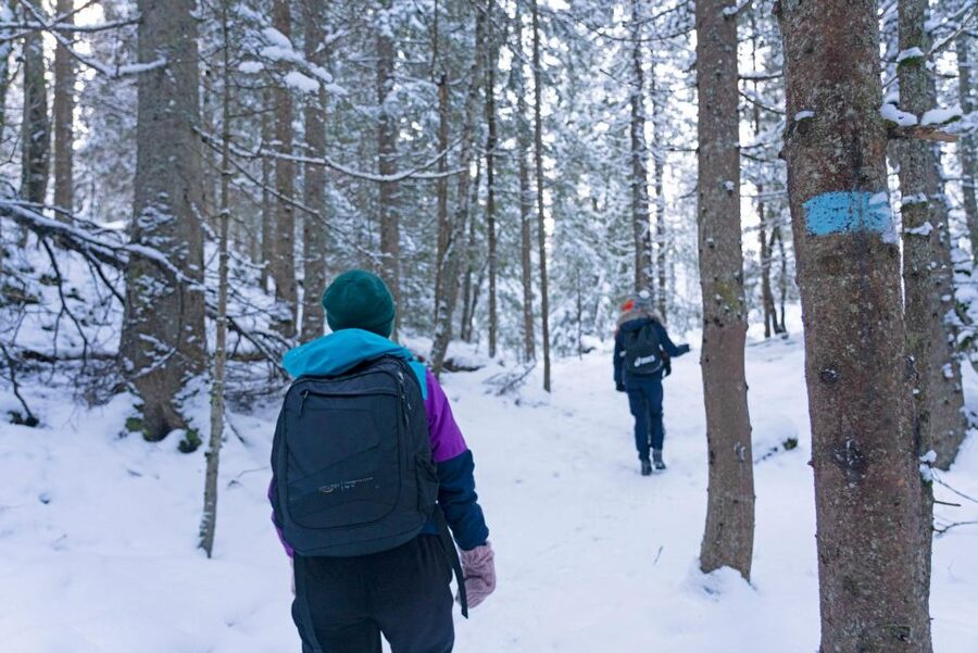Oslo: Best View of the Oslofjord Winter Edition - Snowy woods, frozen ponds, and the Huldra story