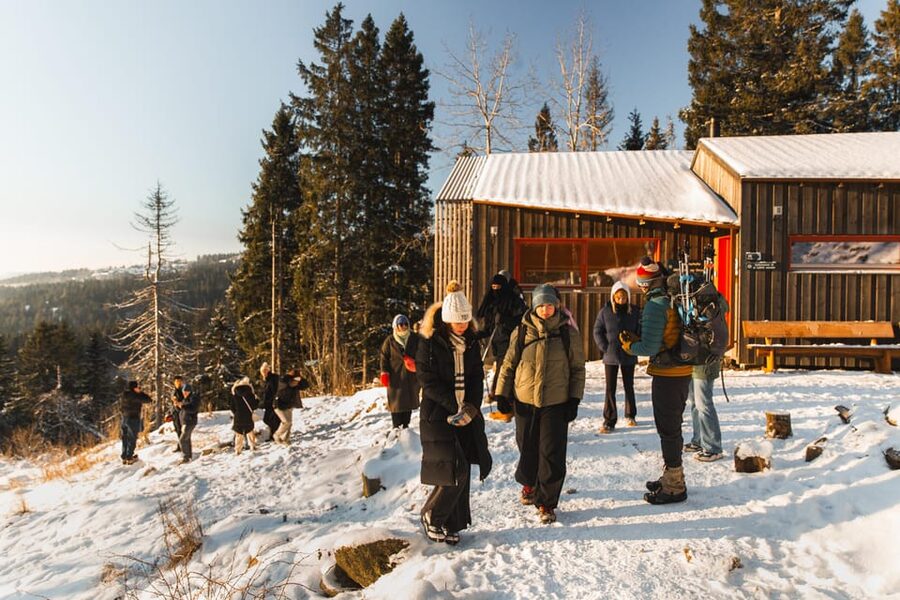 Oslo: Best View of the Oslofjord Winter Edition - The final climb to Vettakollen
