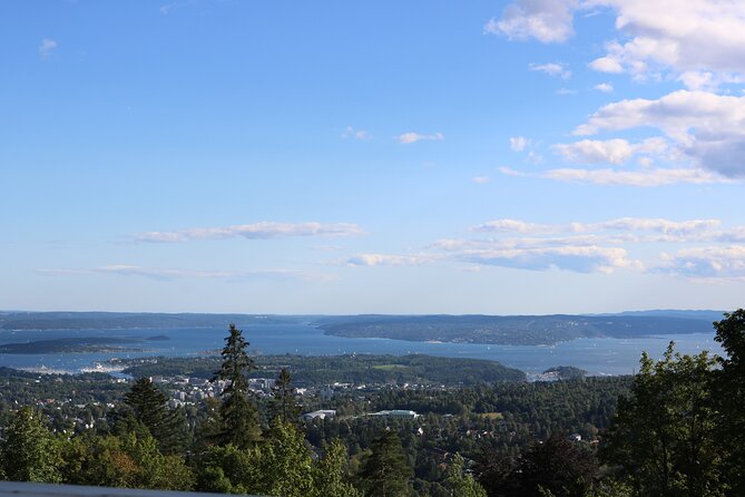 Oslo City Highlights with Fjord Cruise - Who Should Book It?