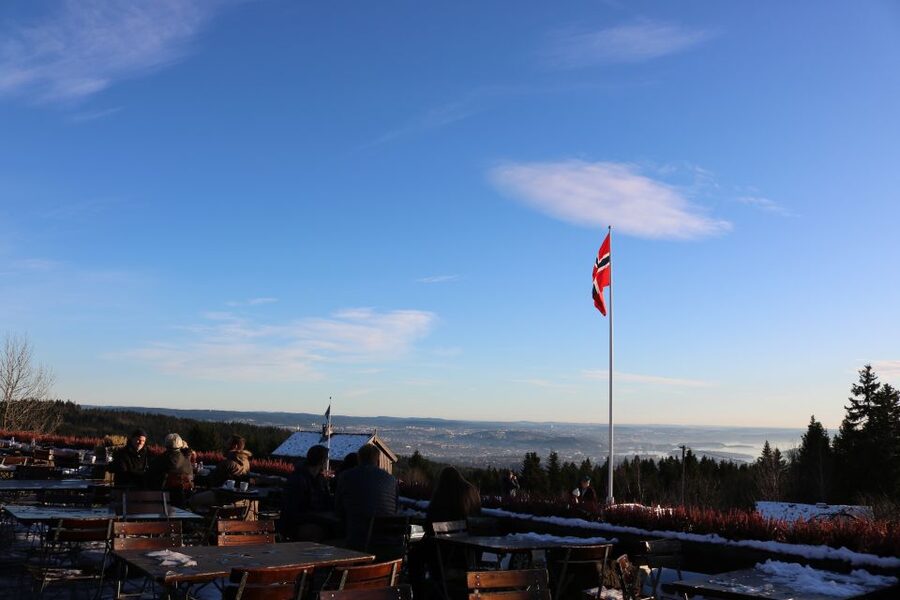 Oslo: Guided Oslo Highlights Tour by bus & Oslofjord cruise - Who gets the best value at $110?