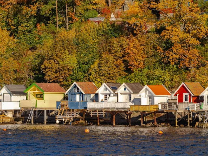 Oslo: Guided Sightseeing Fjord Cruise on Premium Silent Boat - Key things to know before you sail