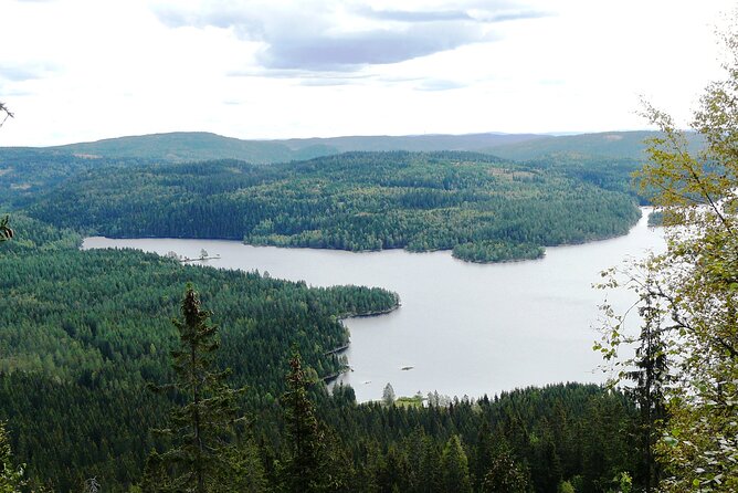 Oslo Nature walks: Forest to Fjord - The rocky forest route asks for steady legs