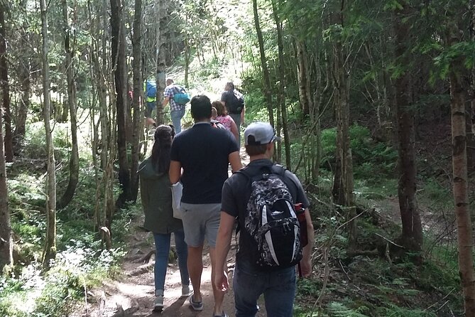 Oslo Nature walks: Forest to Fjord - Sognsvann gives the route a lakeside pause