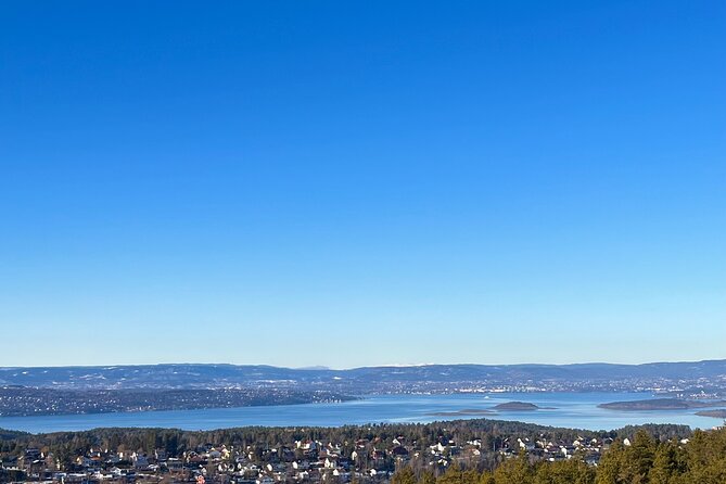 Oslo: Panoramic Fjord Hike Lead by a Local Guide and Dog - Blueberries, local stories, and small discoveries