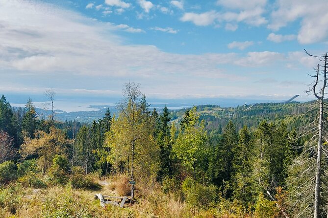 Oslo’s Ultimate Fjord View Hike & Norwegian Waffle Workshop - Why this Oslo outing is different
