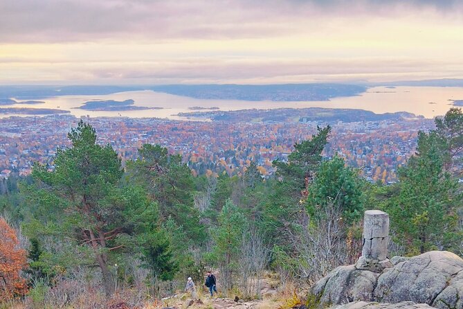 Oslo’s Ultimate Fjord View Hike & Norwegian Waffle Workshop - What the guide adds to the forest walk