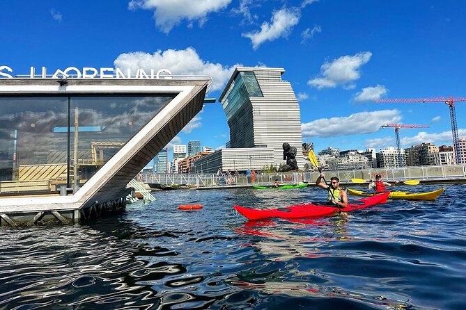 Oslo Sea Kayak Tour: Explore The Incredible Oslofjord - Munch and Deichman Bjørvika from the water