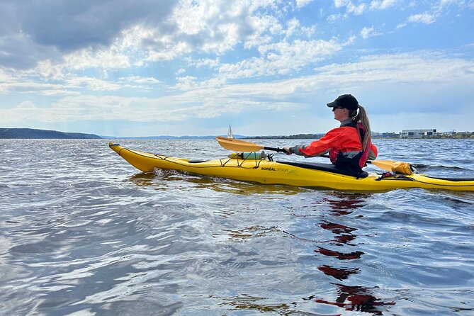 Oslo Sea Kayak Tour: Explore The Incredible Oslofjord - Hovedøya and the quieter side of the fjord