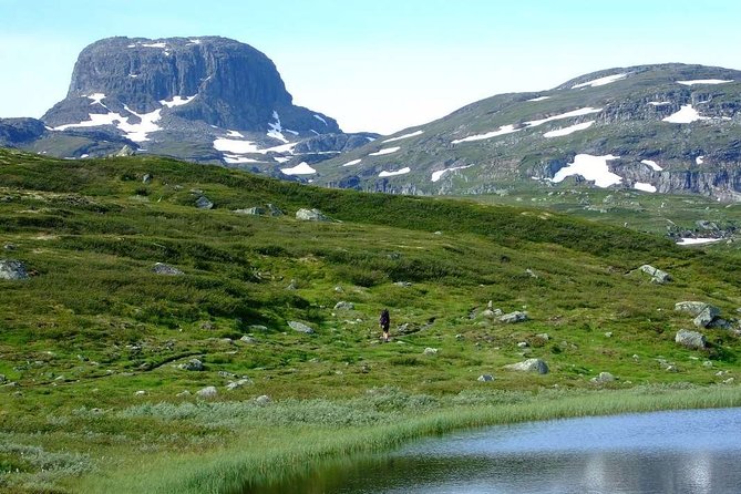 Oslo To Sognefjord Private Full Day Roundtrip Including Flam Railway - Myrdal station and the change toward Geilo