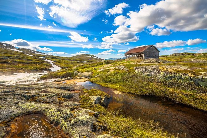 Oslo To Sognefjord Private Full Day Roundtrip Including Flam Railway - Geilo and the long return to Oslo