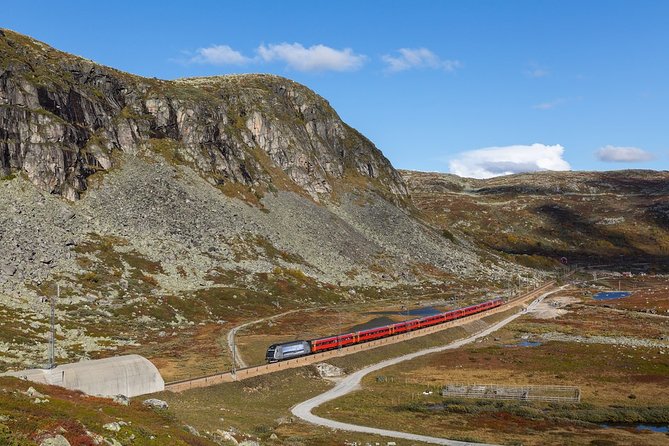 Oslo To Sognefjord Private Full Day Roundtrip Including Flam Railway - How much private convenience is worth
