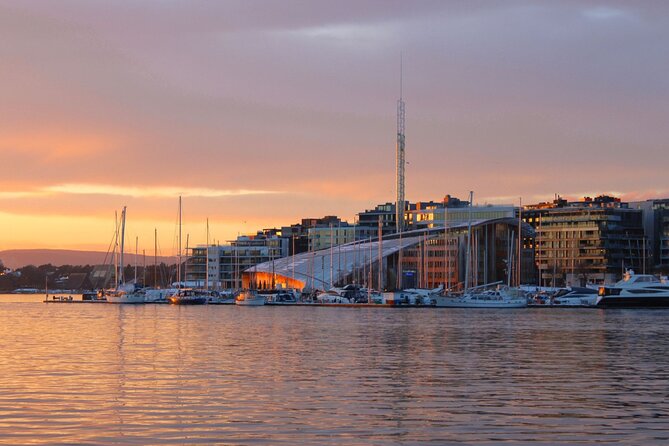 Oslofjord Sightseeing - Electric power, smooth water, and onboard comfort