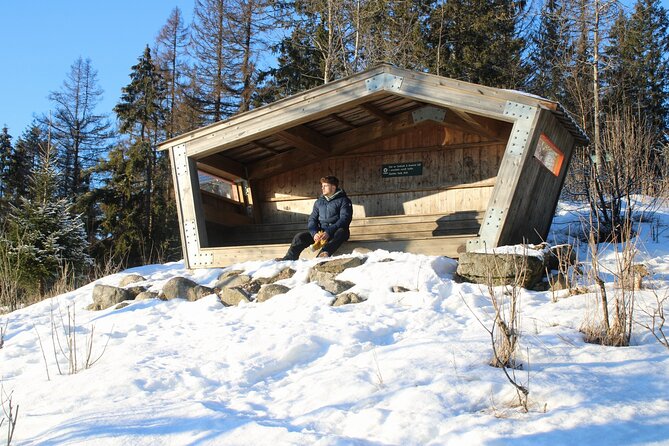 Panoramic Peaks and Oslo’s Best Fjord Views Hike - The Final Summit and the Descent
