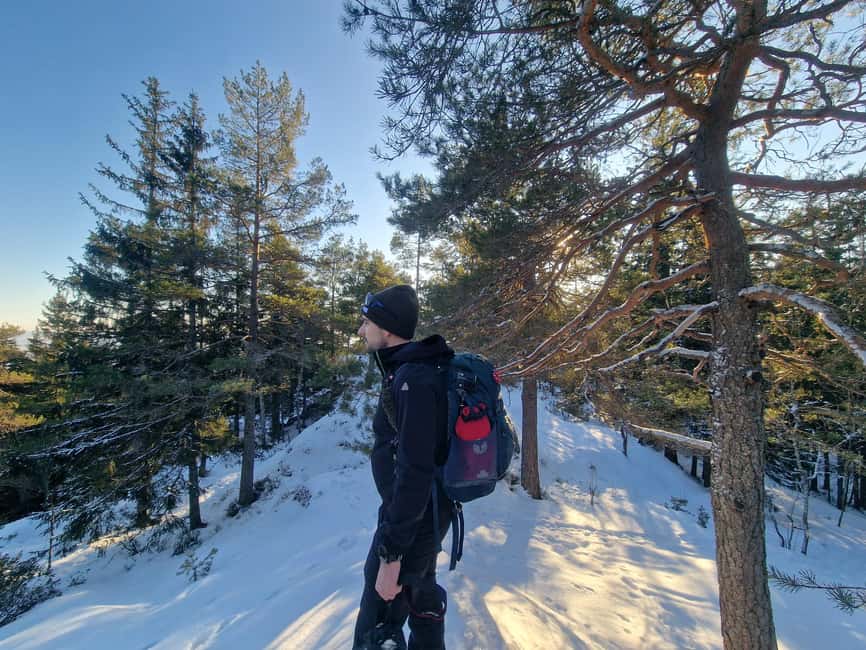 Panoramic Peaks – Oslo’s Most Beautiful Fjord Views Hike - The best parts of the hike at a glance