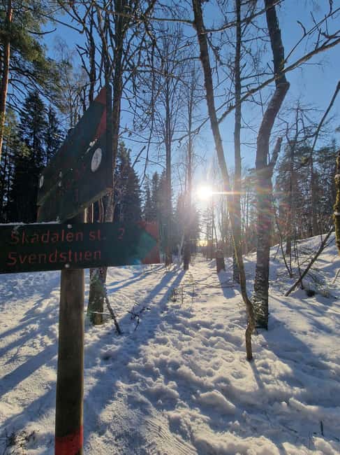 Panoramic Peaks – Oslo’s Most Beautiful Fjord Views Hike - Who should book this Vettakollen outing?