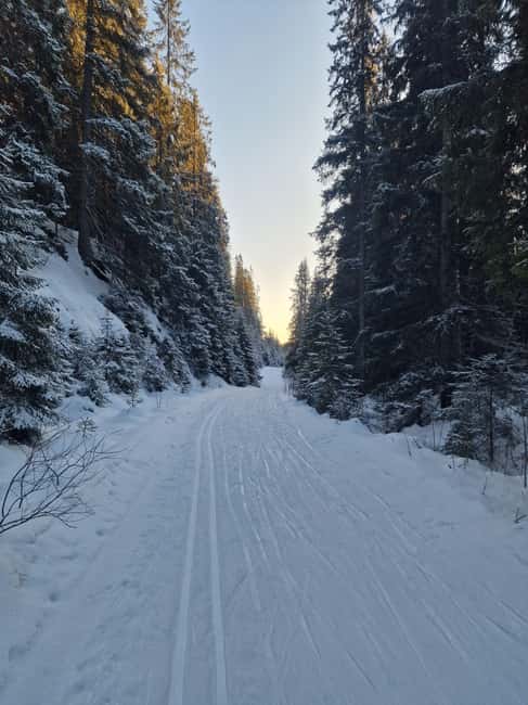 Panoramic Peaks – Oslo’s Most Beautiful Fjord Views Hike - Leaving Jernbanetorget for Oslo’s high ground