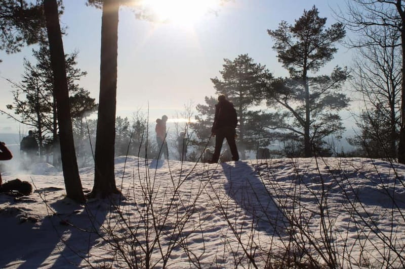 Panoramic Peaks – Oslo’s Most Beautiful Fjord Views Hike - The final climb to Vettakollen