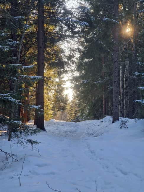 Panoramic Peaks – Oslo’s Most Beautiful Fjord Views Hike - Summer greenery or winter silence