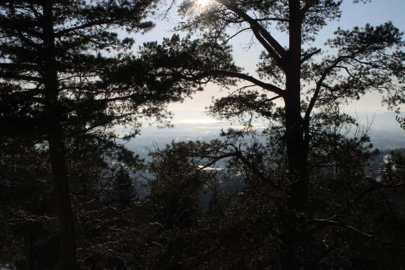 Panoramic Peaks – Oslo’s Most Beautiful Fjord Views Hike - How the transport affects the four-hour schedule