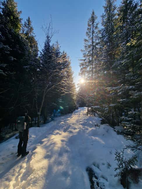 Panoramic Peaks – Oslo’s Most Beautiful Fjord Views Hike - What to bring for a comfortable outing