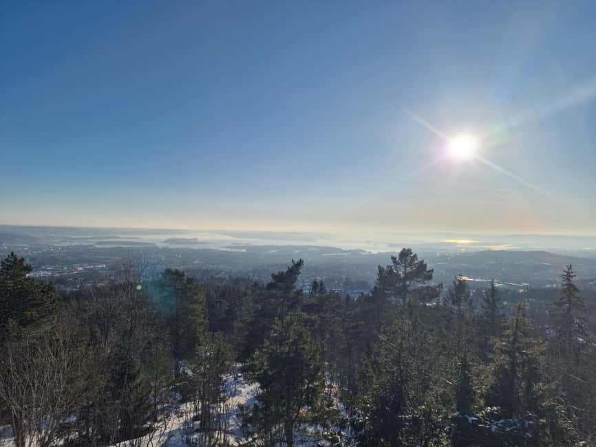 Panoramic Peaks – Oslo’s Most Beautiful Fjord Views Hike - The forest trails around Vettakollen
