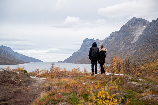 Private Arctic Fjord Roadtrip with Scenic Picnic from Tromso - Key points before you book