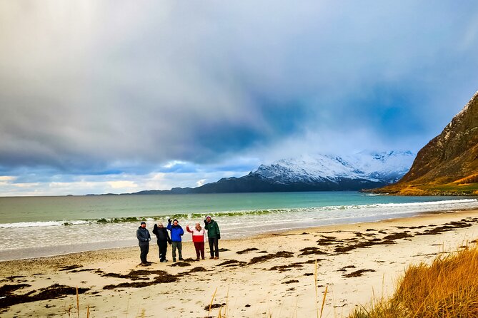 Private Arctic Fjord Tromso Morning Hidden Escapes - Tromvik, a working coastal village