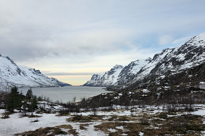 Private Arctic Fjord Tromso Morning Hidden Escapes - What the weather adjustment really means