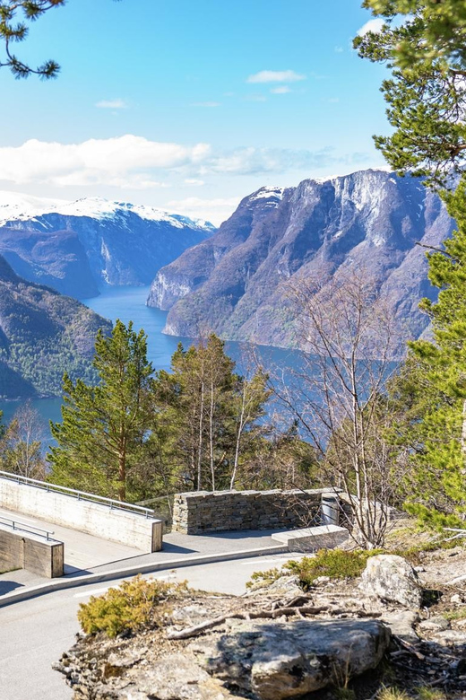 Private Day Tour- Flam Railway & Fjord Cruise From Bergen - The Nærøyfjord cruise is the slower half of the day