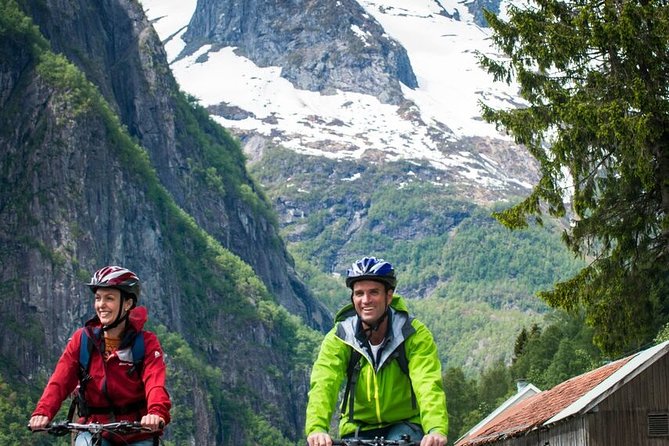Private Full-Day Round Trip from Oslo to Sognefjord via Flåm Railway - Myrdal to Geilo, then the long return