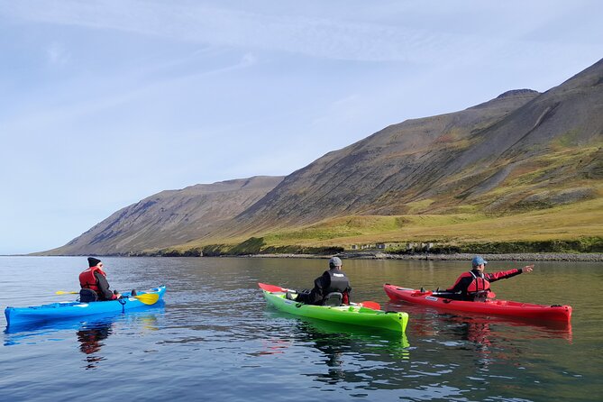Private: Guided kayak tour in Siglufjörður / Siglufjordur. - Starting at the Sigló Sea base