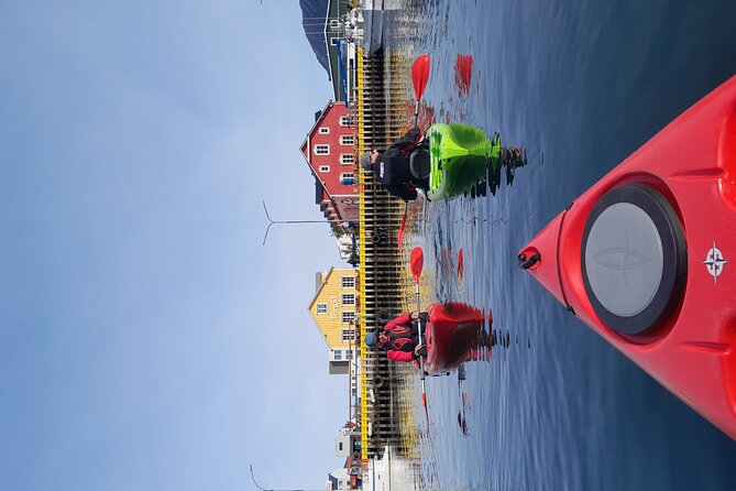 Private: Guided kayak tour in Siglufjörður / Siglufjordur. - Who will enjoy this private paddle