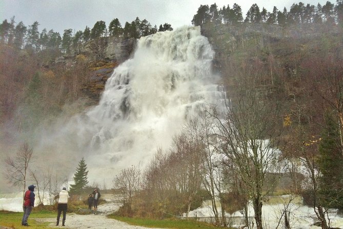 PRIVATE GUIDED TOUR: Highlights of Norway – Trip to the Sognefjord – WINTER - Gudvangen and the Nærøyfjord choice