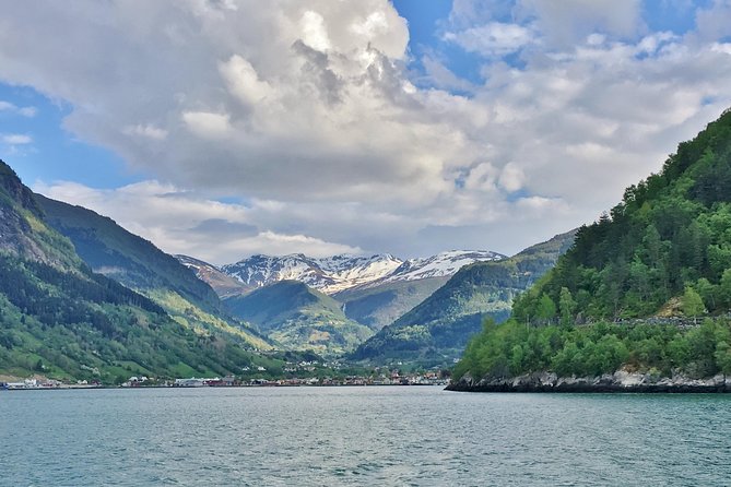 PRIVATE GUIDED TOUR: King of the Fjords – round trip to the Sognefjord, 11 hours - Key reasons this Sognefjord day trip is worth considering