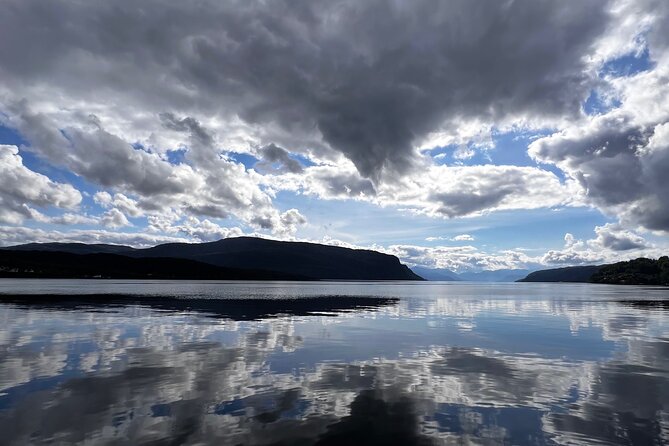 Private Guided Tour of Bergen and the Best of Norwegian Fjords - Key points before you book