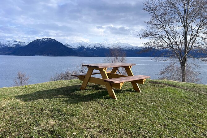 Private Guided Tour of Bergen and the Best of Norwegian Fjords - What this Bergen fjord tour is really offering