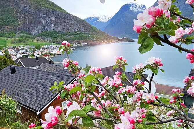 Private Guided Tour to Oslo Nærøyfjord Cruise and Flåm Railway - Flåm: a short pause before the railway