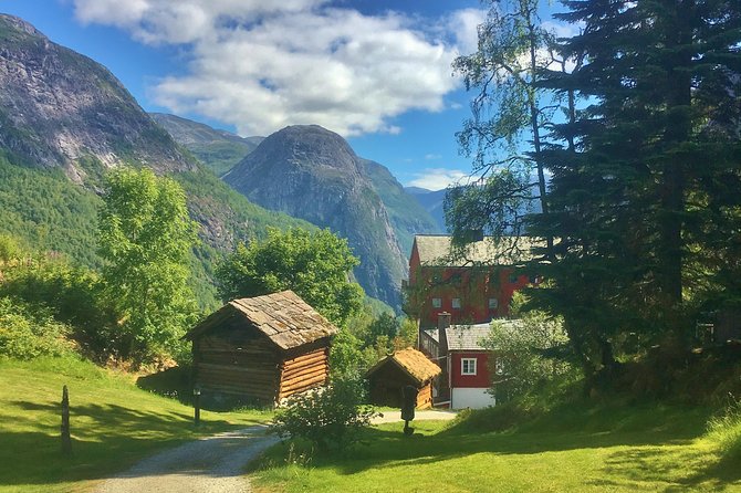 PRIVATE GUIDED TOUR: World Heritage Fjord Landscape – Viking Special – from Flåm - Leaving Flåm for Stalheim