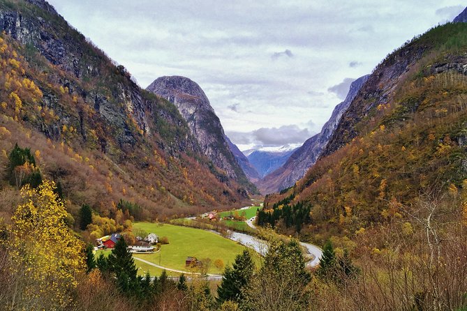 PRIVATE GUIDED TOUR: World Heritage Fjord Landscape – Viking Special – from Flåm - Njardarheimr: the tour’s most distinctive stop