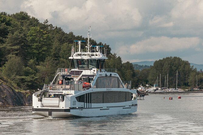 Private Oslofjord Island Hopping Tour - The guide quality and one practical caution