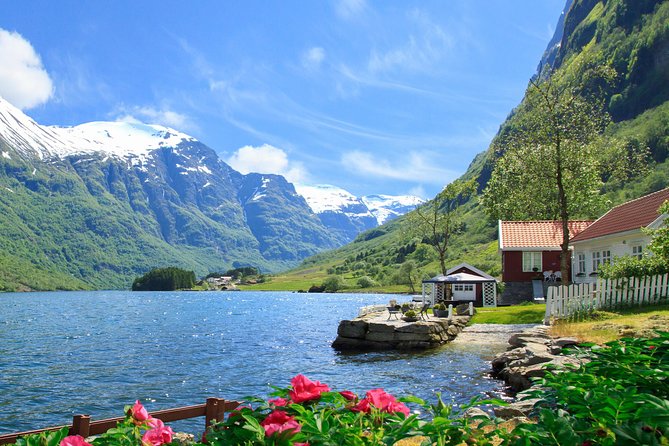 Private tour, Bergen to Oslo - Nærøyfjord Cruise & Flåm Railway - The value of a private guide and vehicle