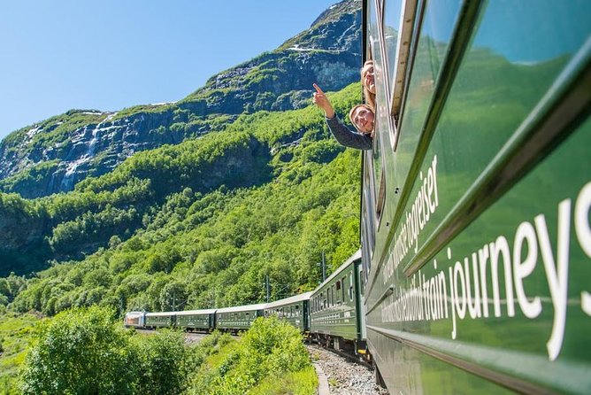 Private tour - Viking Village, Nærøyfjord Cruise and Flåm Railway - Key reasons this tour is worth considering