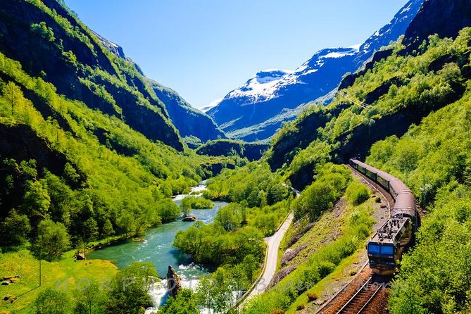 Private tour - Viking Village, Nærøyfjord Cruise and Flåm Railway - Nærøyfjord: the scenic heart of the day