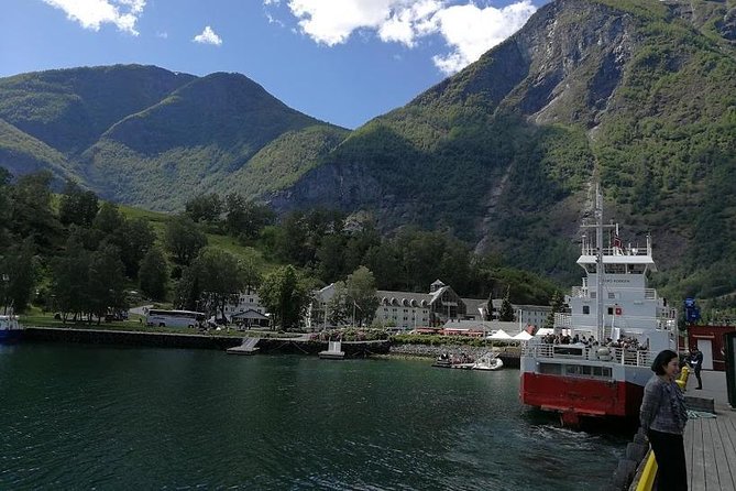 Private tour - Viking Village, Nærøyfjord Cruise and Flåm Railway - Myrdal to Voss on the Bergen Railway