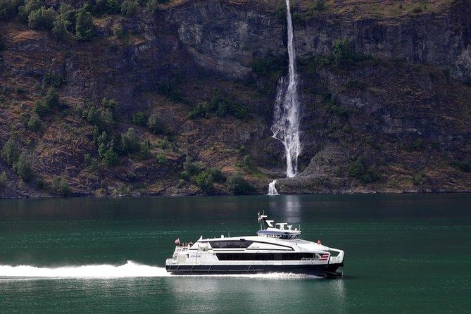 Private tour - Viking Village, Nærøyfjord Cruise & Flåm Railway - Aurlandsfjord and the approach to Flåm